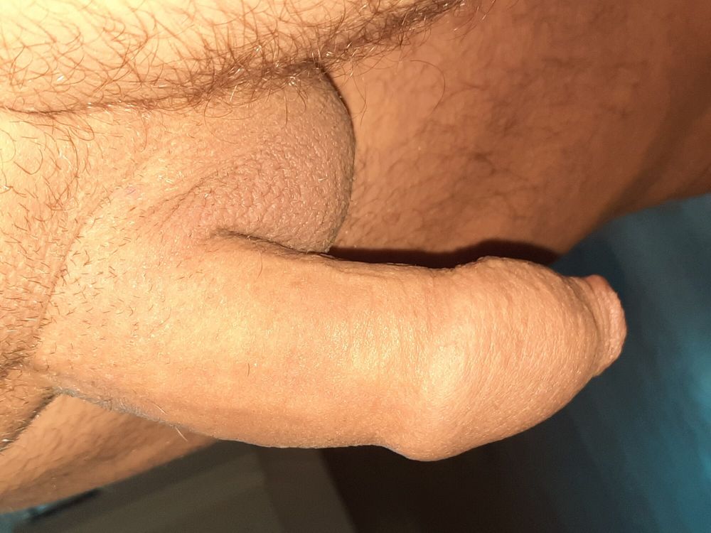 Cock  #10