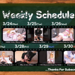 3.24-3.30 UPLOAD SCHEDULE