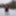 Pregnant flashing naked in the cold snow #42