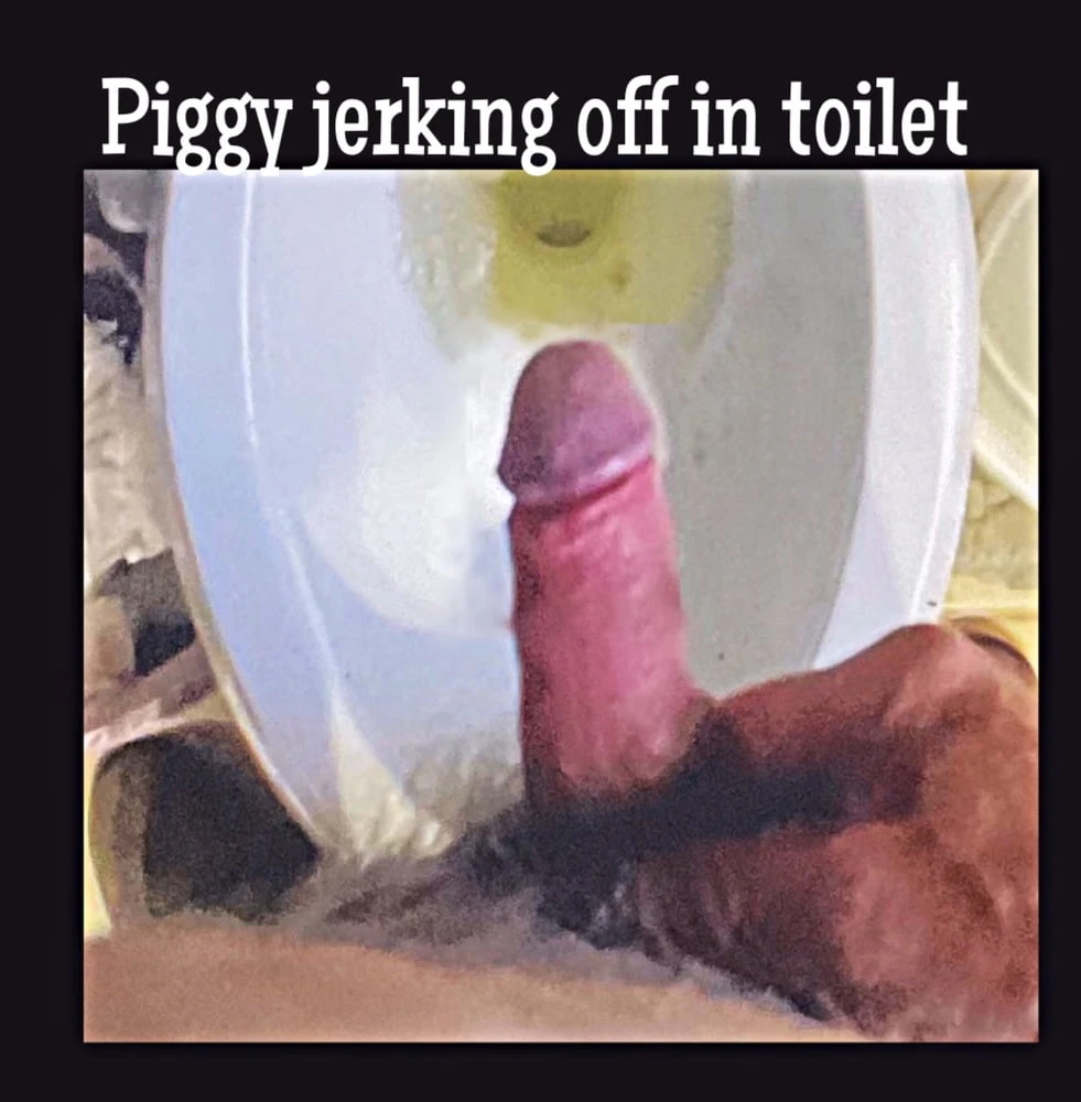 Piggy