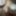 Hi Mai Delhi se hu Kya mai aapke sath sex videos bana sakta 