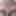 Daily duty of the naked slave April 2nd, 2024 #18