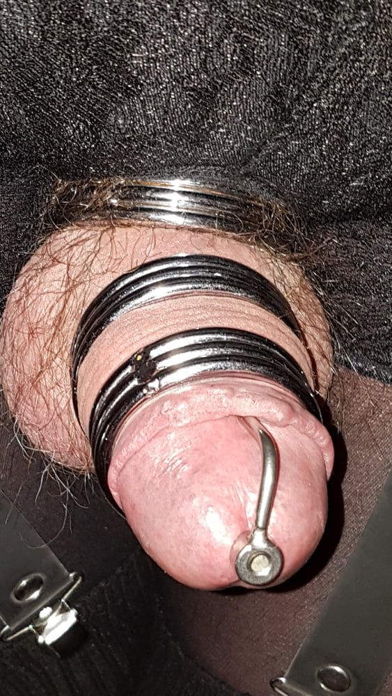 Cock ring #47