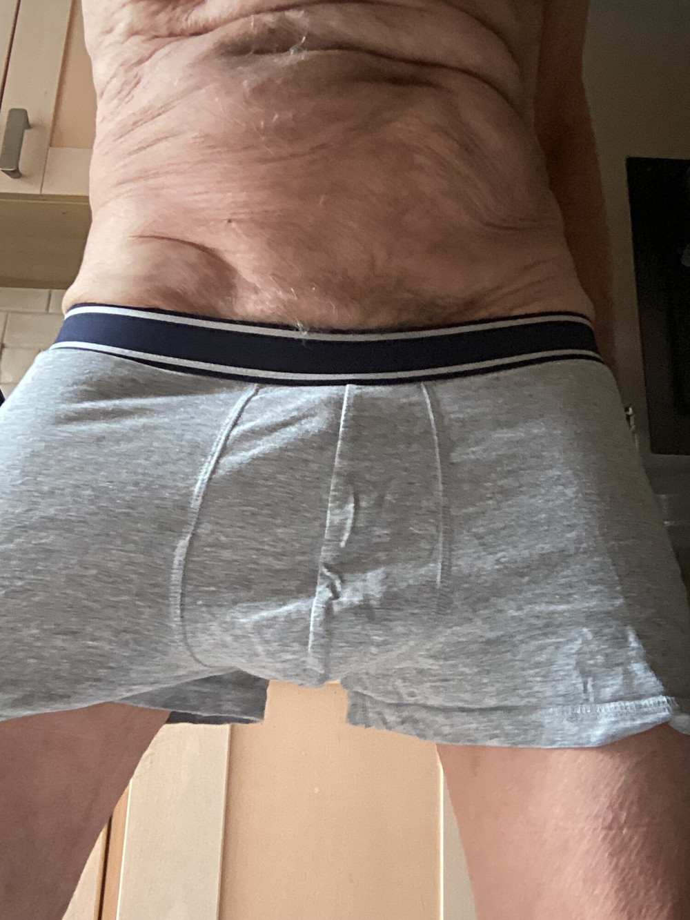 Gray trunk briefs #4