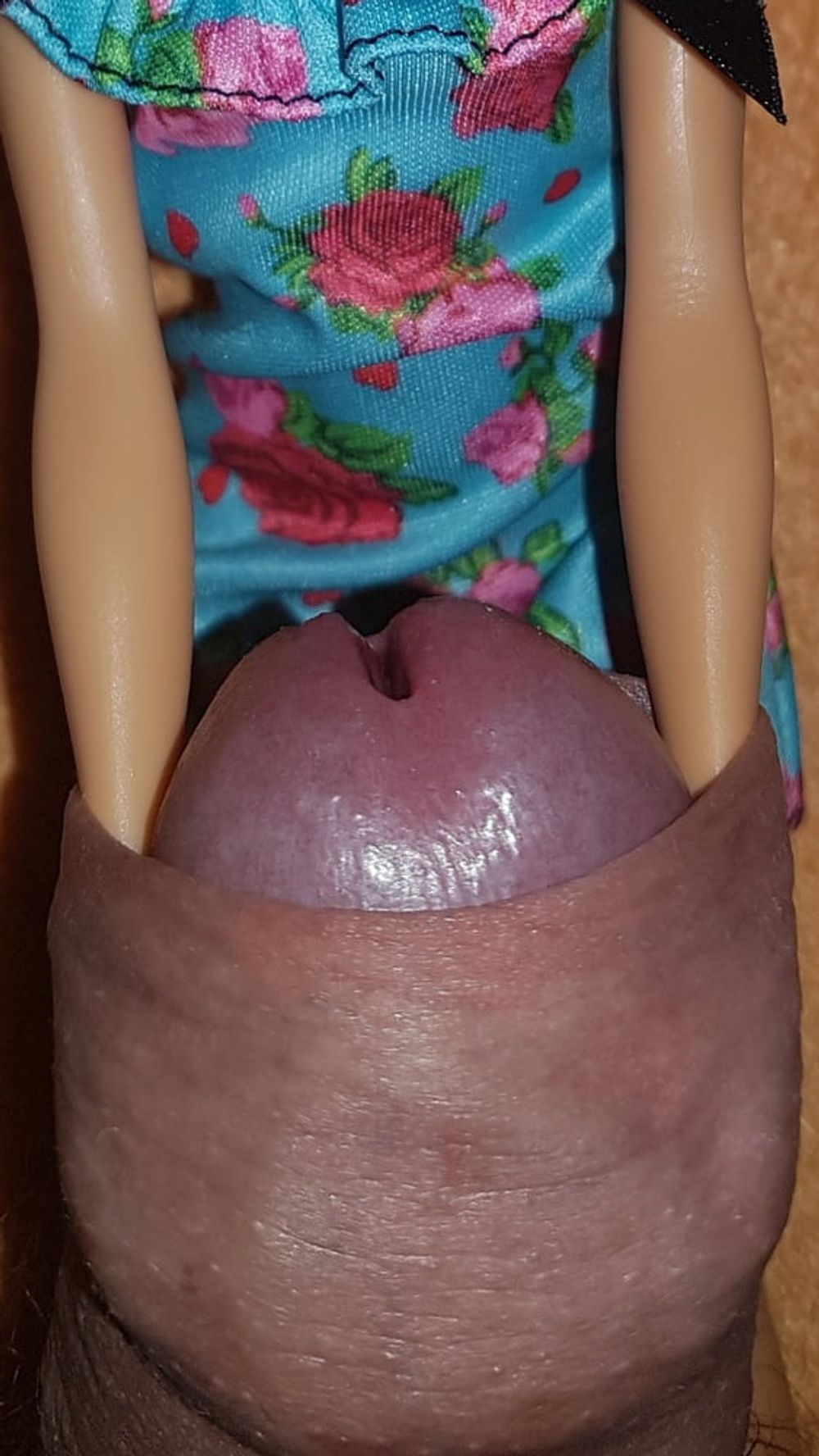 Play with my Barbie #8