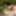 Verbotene Aufnahmen nude in Public 2