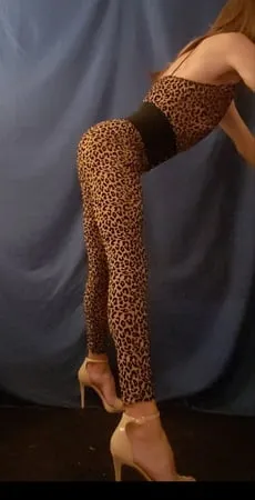 leopard print bodysuit         