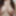 breasts