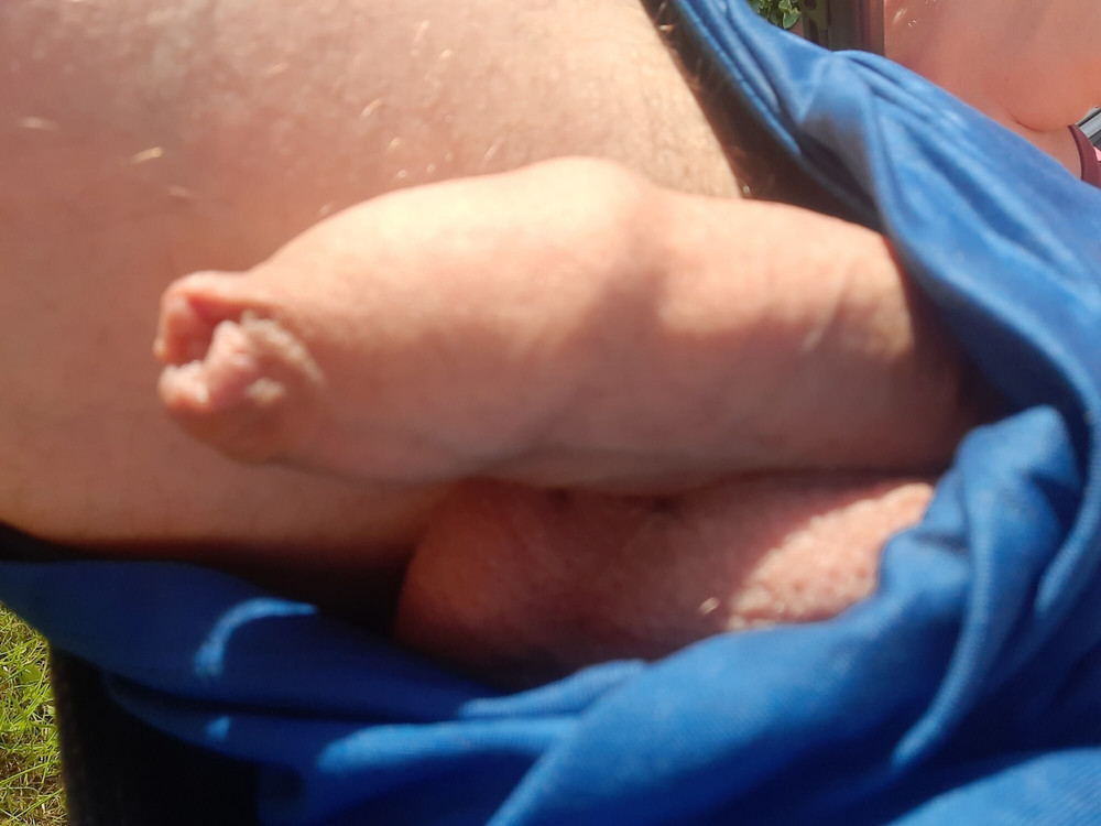 Softy cock  #18