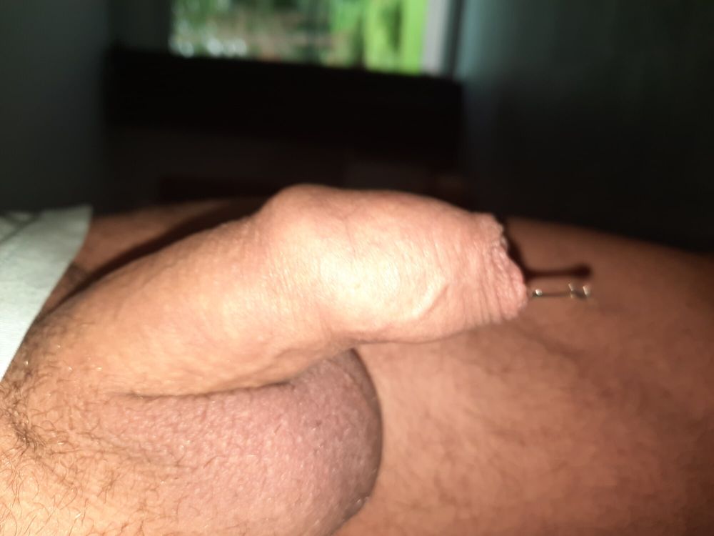 Cock #15