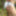 Satin panties in the woods #6
