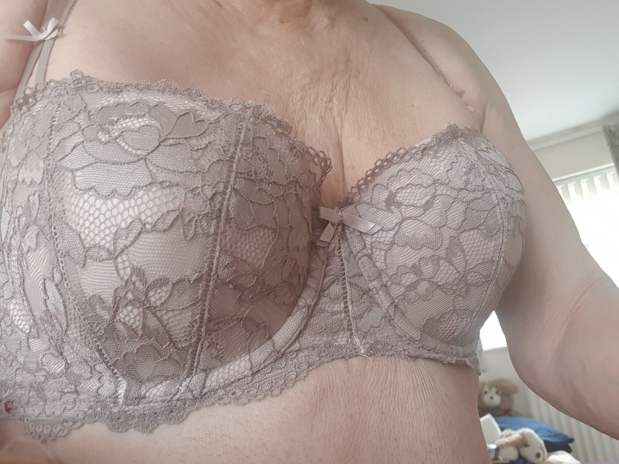 Which bra today #5