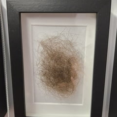 My art pube collection