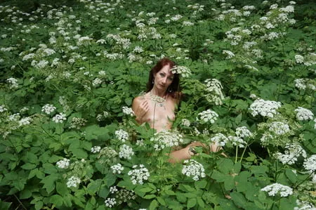 in white flowers           