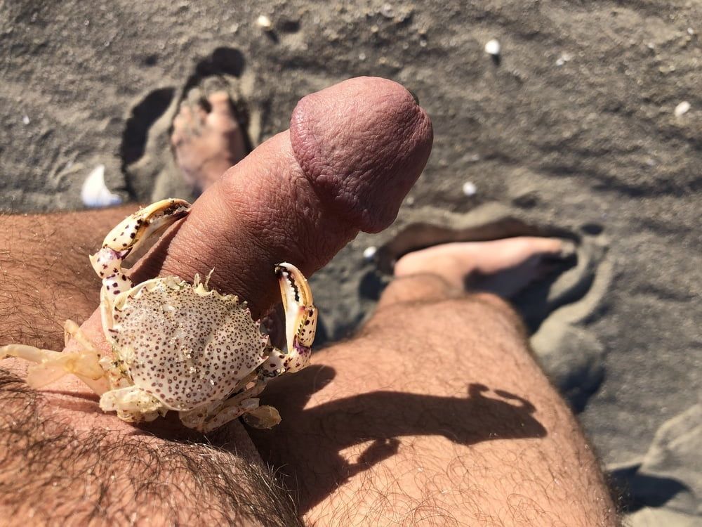 Public nude beach erection exposure #12