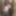 Orlandi480 Early crossdressing 