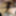 JoyTwoSex - Dark Bush &amp; Black Thong