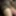 FatSissySlut93’s Sissy Cock (Soft &amp; Hard) #2