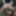 Sexy Slut Evelina Ass Fuck GIFs 8