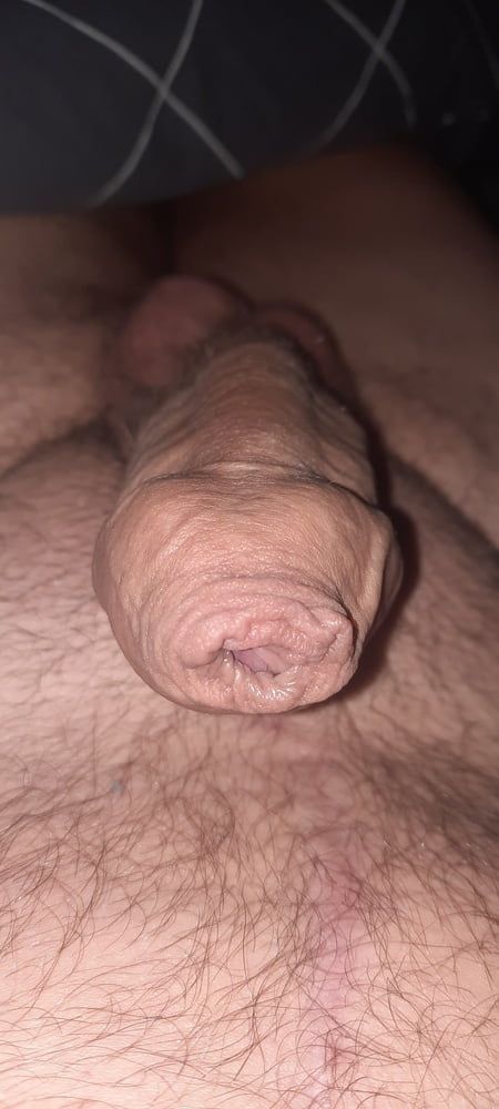 Cock  #3