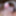 body transgenre