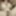 My Random views Tits Ass Pussy Sex Boobs Dada Deville
