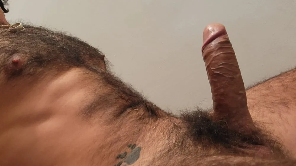 Hairy big cock