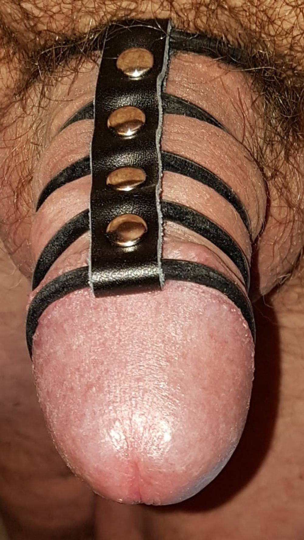 Cock rings #10