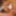 Asagiri Hikaru &amp; Mashiro Airi  :: Nicest Celeb Ladies Vol.15 #13