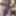 Day Two and Three of My Masturbation Vacation #5