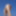 Thongs beach #4