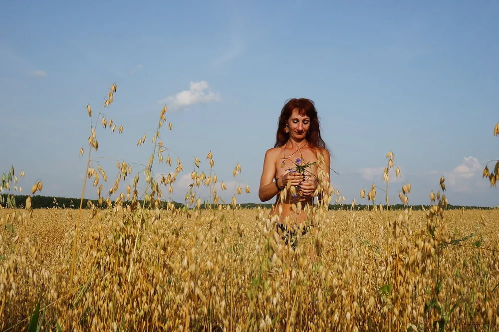 In evening field with bluebottle #2