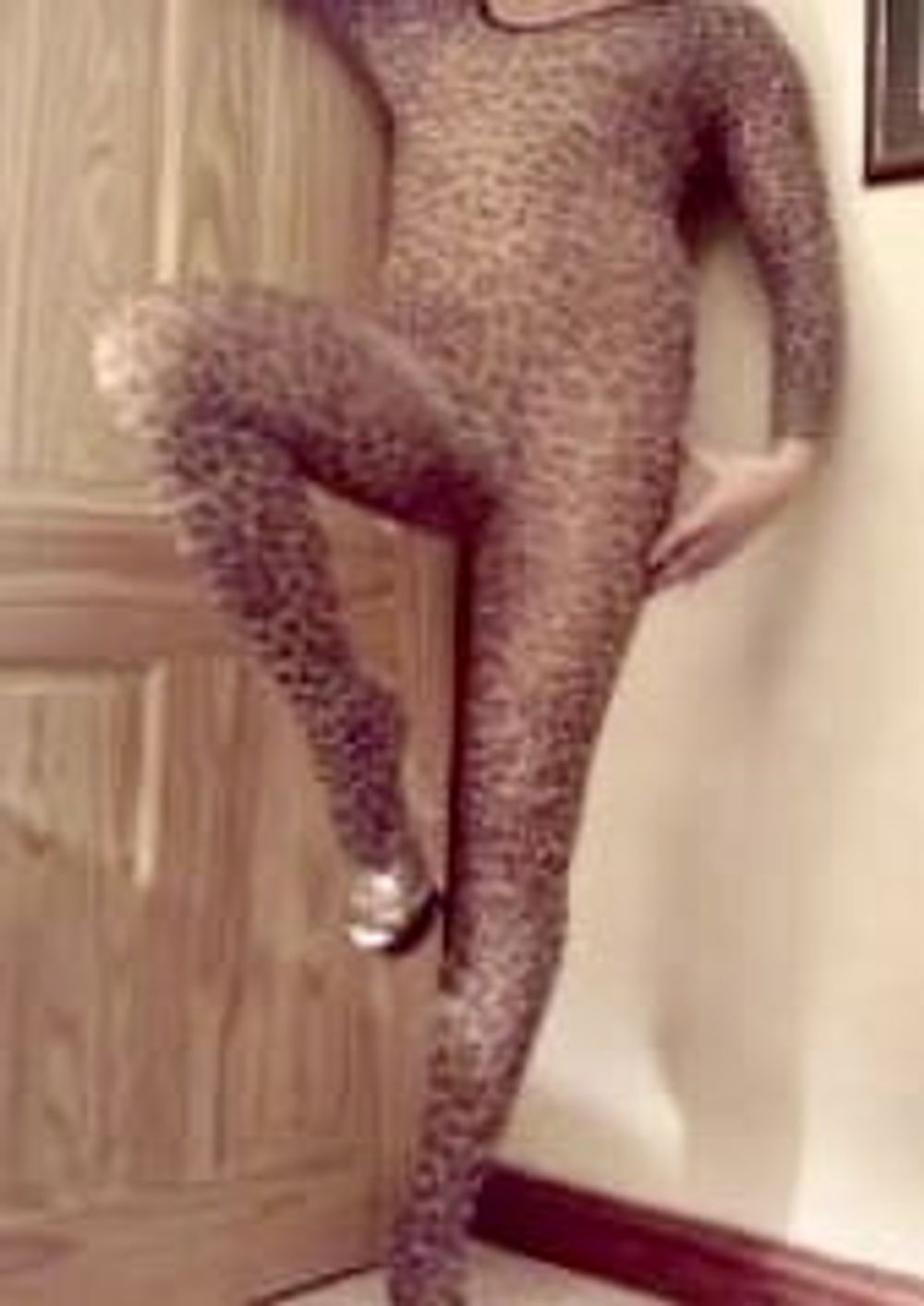 Leopard print body stocking #3