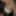 Free Meat Photos
