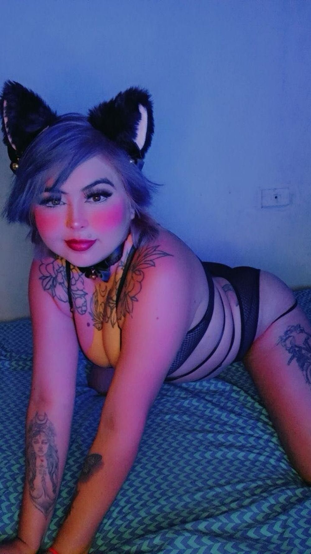 cat girl  #2