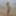 Goa up to March 2025 #5