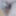Daily duty of the naked slave March 4th, 2024 #6