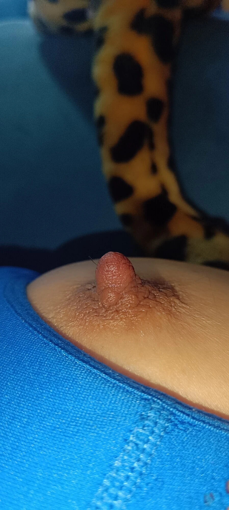 hola a todos 