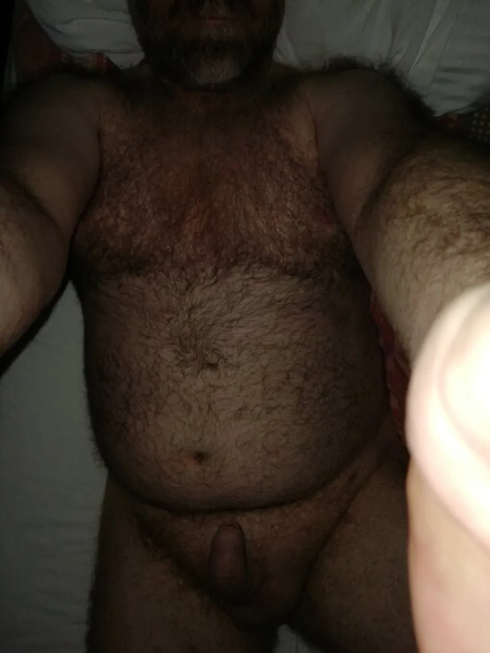 UKHairyBear Gallery 1 #15