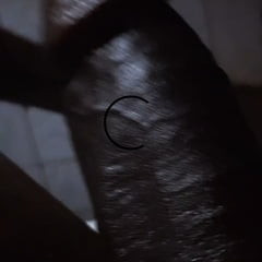 Lonely cock
