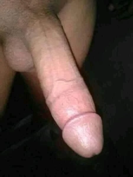 My land #42