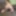 Nude wife