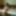 A collection of all the photos I&amp;#039;ve ever taken