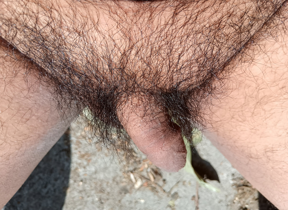My nice flaccid penis after 9 months without shaving #14