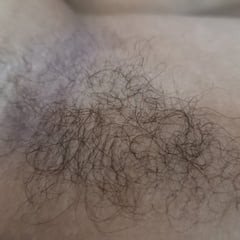 My Hairy Armpits 