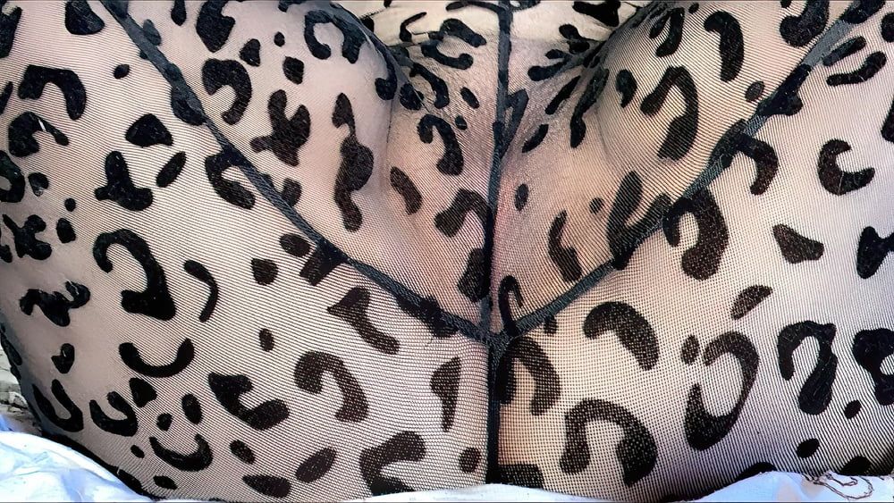 Cat Print Suit Photoset #17