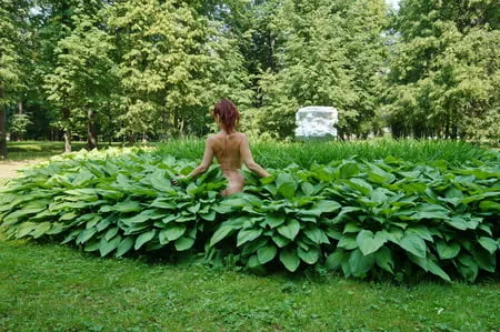 naked in the grass         