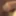 3d futanari hentai #21