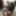 DAGFS - Petite Asian Cindy Starfall Takes Big Black Cock #45
