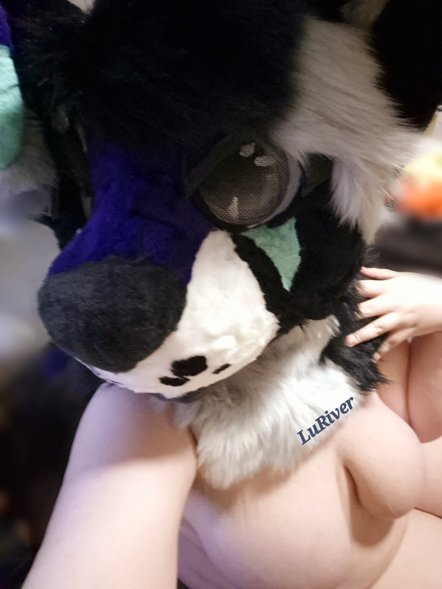 Horny BBW Furry 